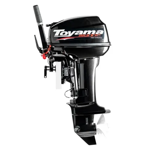 T9.9BMS