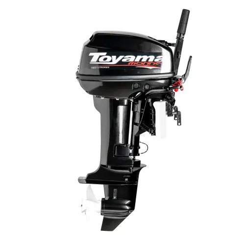 T9.9BMS