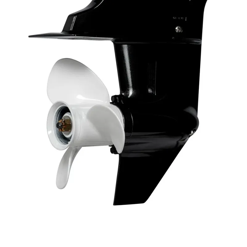 T9.9BMS