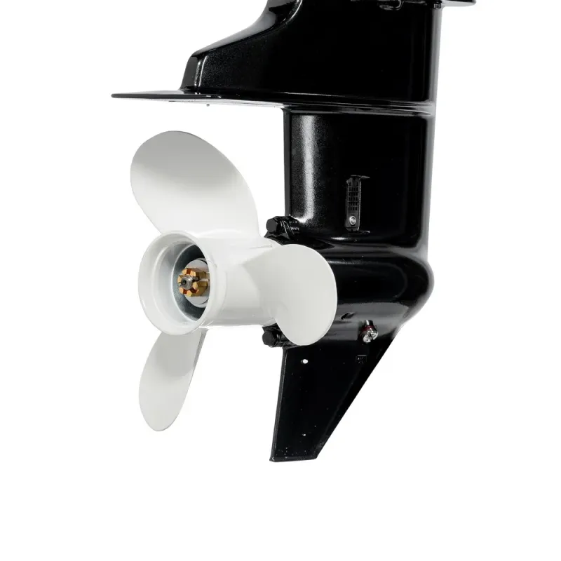F9.8BMS