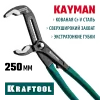 KRAFTOOL KAYMAN, 250 мм, переставные клещи (22353-25)