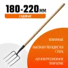 GRINDA 180 х 220 х 1300 мм, четырёхрогие, кованные зубья, антикор. покрытие, деревянный черенок высш. сорт, вилы кованые (39721)