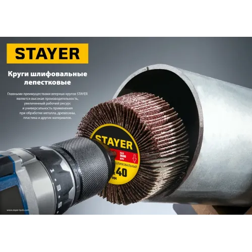 STAYER d 30 x 15 мм, P100, на шпильке d 6 мм, круг шлифовальный лепестковый (36606-100)