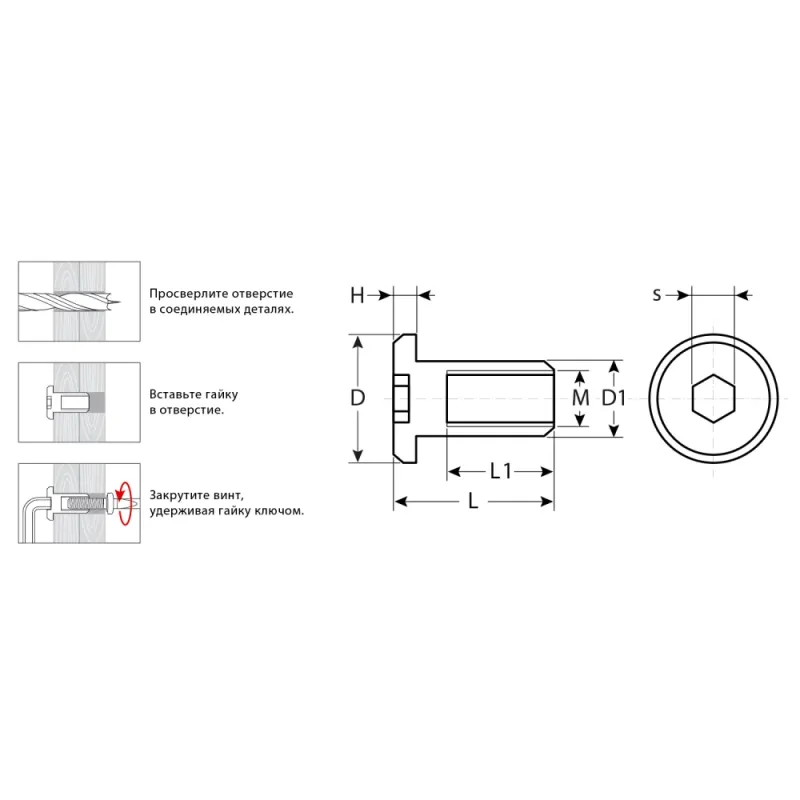ЗУБР M6 x 12 мм, шест. 4 мм, цинк, 5 кг, гайка Эриксона с плоской головкой, Профессионал (303770-4)