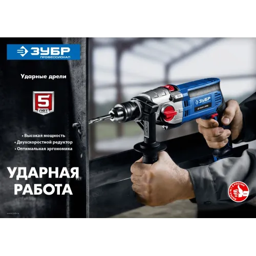 ЗУБР 850 Вт, 13 мм, 2 скорости, ударная дрель, мет. корпус, Профессионал (ДУ-П850 ЭРМ)