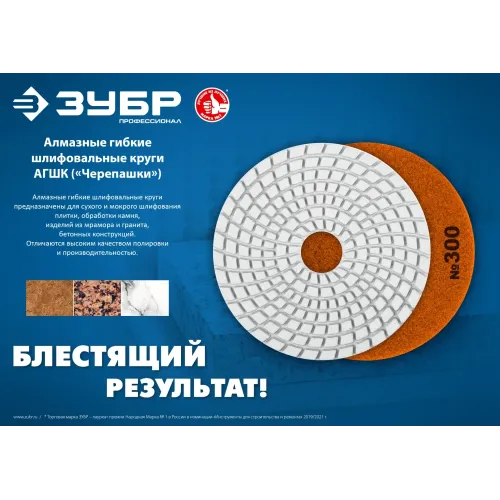 ЗУБР 125 мм, №2000, мокрое шлифование, алмазный гибкий шлифовальный круг АГШК, Профессионал (29867-2000)