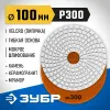 ЗУБР 100 мм, №300, мокрое шлифование, алмазный гибкий шлифовальный круг АГШК, Профессионал (29866-300)