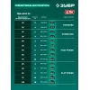 ЗУБР 40 В, (2x20В), 400 мм шина (Тип 6), 2 АКБ LMS (4 Ач), пила цепная аккумуляторная (ПЦБ-4040-42)