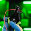 Щипцы для зачистки электропроводов, сечением: 0.8, 2.0, 3.5, 5.5, 8.0 мм2. Сибртех